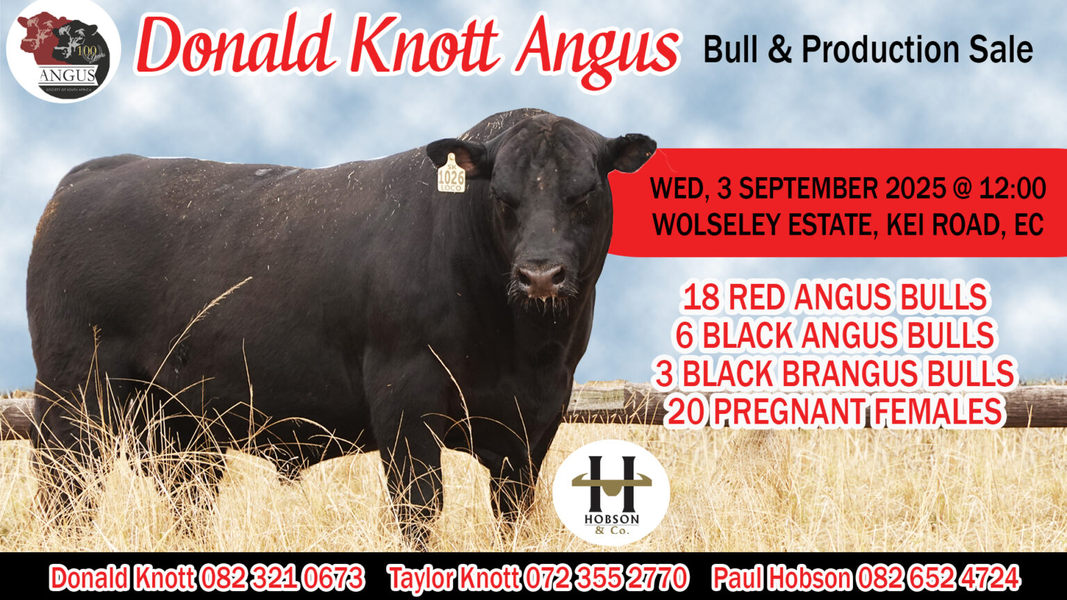 Julius Knott Knott Angus - Hobson & Co